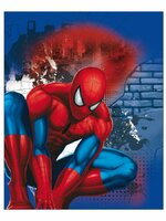KAUFMANN dětská oboustranná auto deka Spiderman 120 x 150 cm modrá KAUFMANN dětská oboustranná auto deka Spiderman 120 x 150 cm modrá