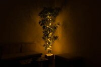 Vánoční LED osvětlení - MINI kabel - 10 m teple bílé