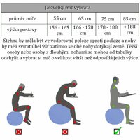 Gymnastický míč MOVIT s pumpou - 75 cm - stříbrný Gymnastický míč MOVIT s pumpou - 75 cm - stříbrný