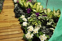 HOME &amp; GARDEN zahradní foliovník 350 x 200 x 200 cm