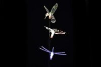 GARTHEN zahradní solární LED osvětlení Garth - motýl, kolibřík, vážka